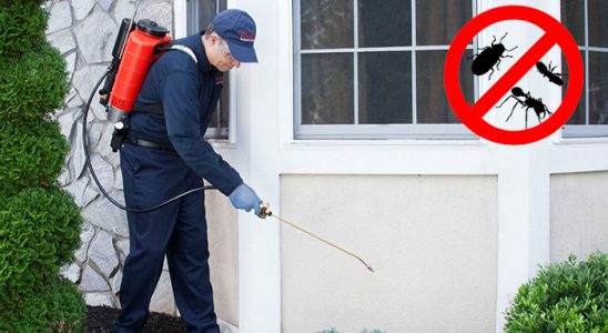 Korgan Dezenfeksiyon böcek ilaçlama ve haşere kontrolü — ilaclama-tr.com